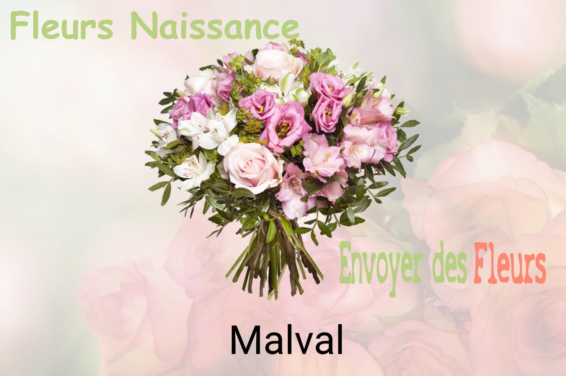 Bouquet de fleurs de naissance livré à Malval